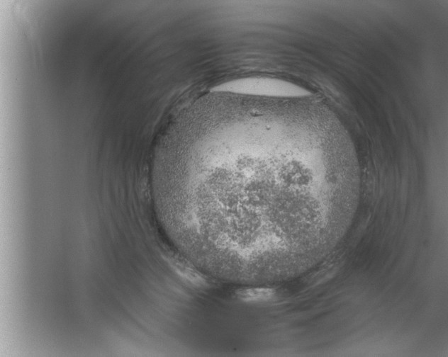 X0000067480361200604281926