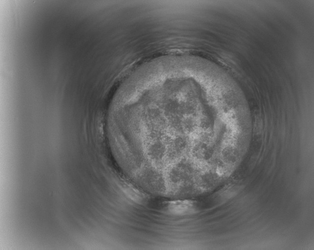 X0000067480363200604281926