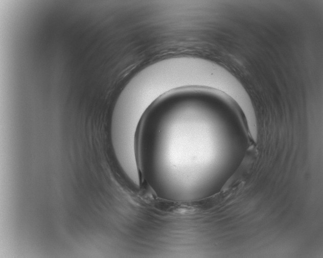 X0000067480364200604281926