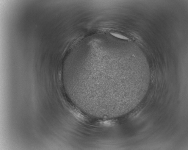 X0000067480365200604281926