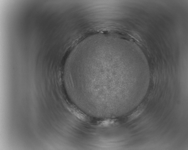 X0000067480366200604281926