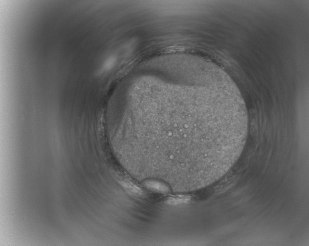 X0000067480369200604281926