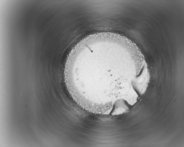 X0000067480370200604281926