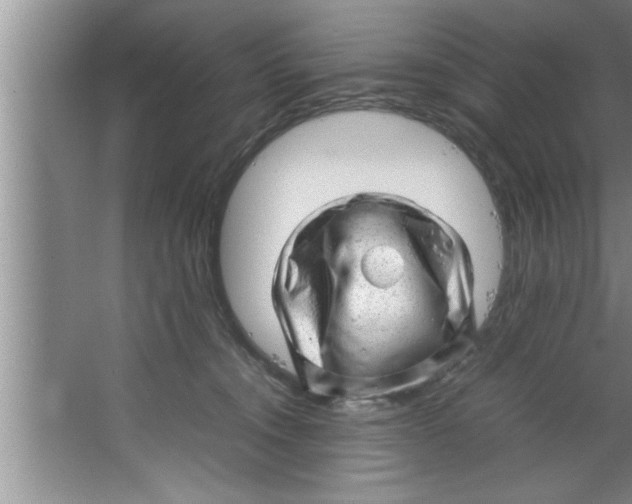 X0000067480372200604281926