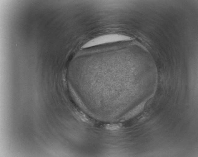 X0000067480373200604281926