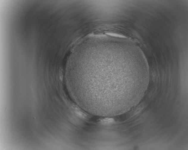 X0000067480374200604281926