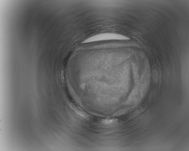 X0000067480375200604281926