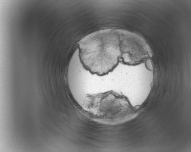 X0000067480377200604281926