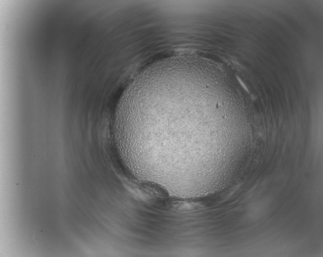 X0000067480379200604281926