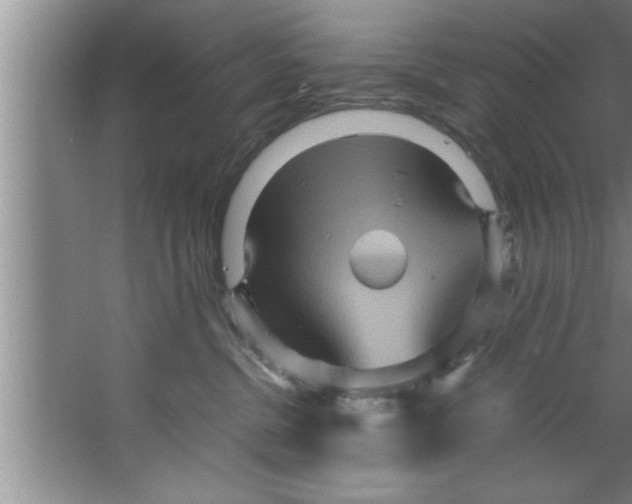 X0000067480380200604281926