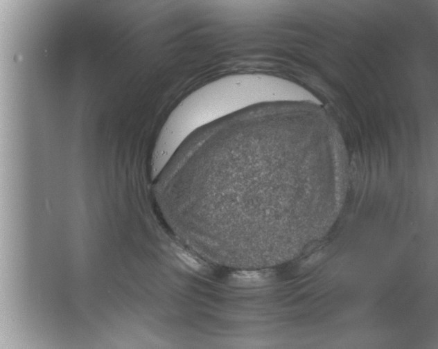 X0000067480381200604281926