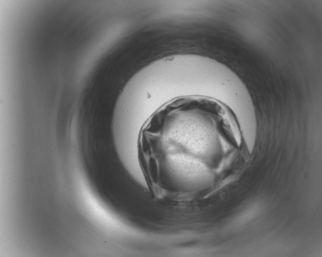 X0000067480383200604281926