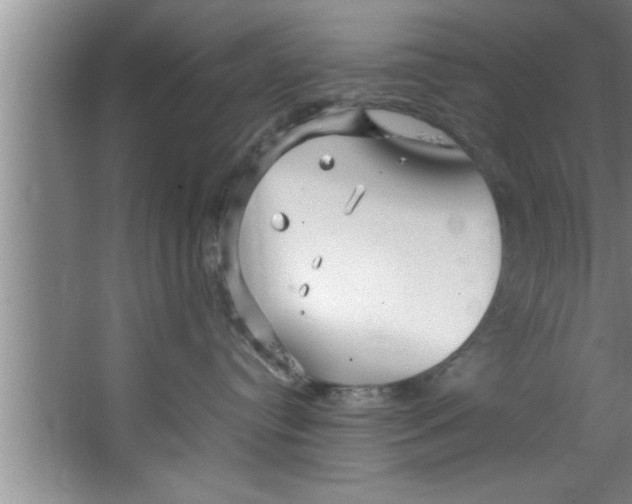 X0000067480384200604281926