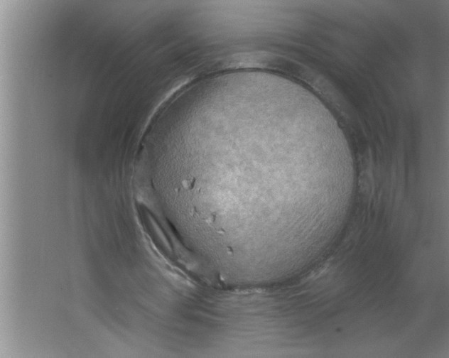 X0000067480386200604281926