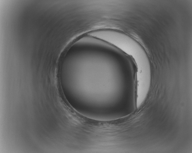 X0000067480387200604281926