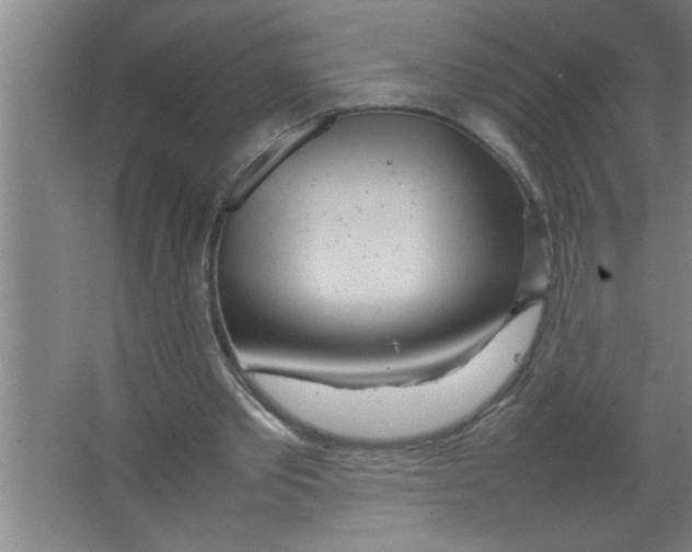 X0000067480389200604281925