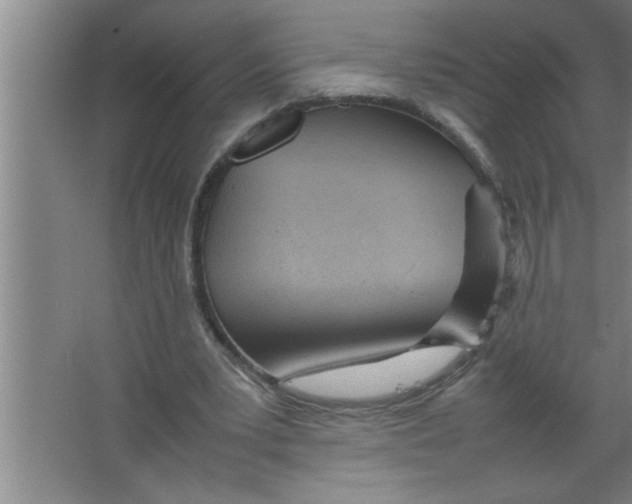 X0000067480391200604281925