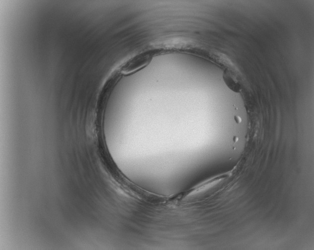 X0000067480392200604281925