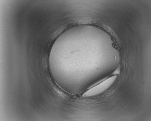 X0000067480393200604281925