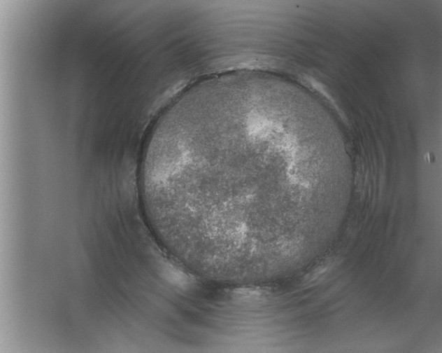 X0000067480394200604281925