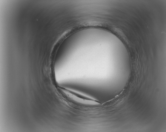 X0000067480395200604281925