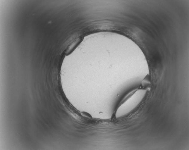 X0000067480397200604281925