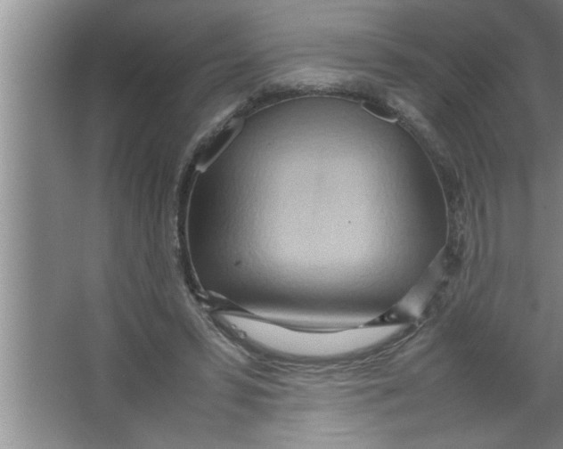 X0000067480399200604281925