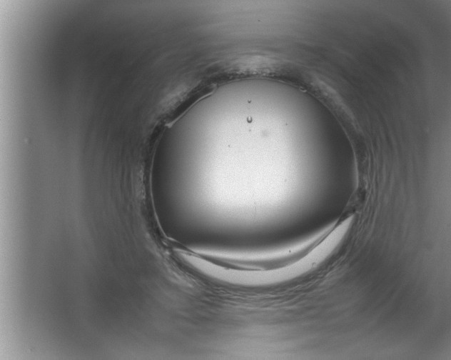 X0000067480403200604281925