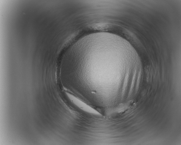 X0000067480404200604281925