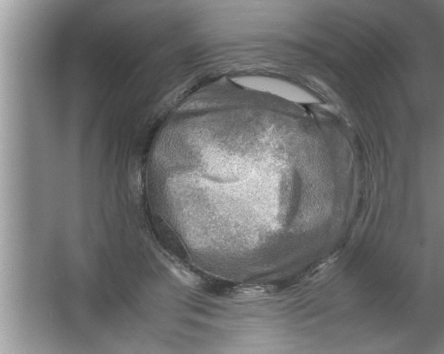 X0000067480405200604281925