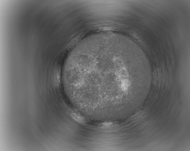 X0000067480406200604281925