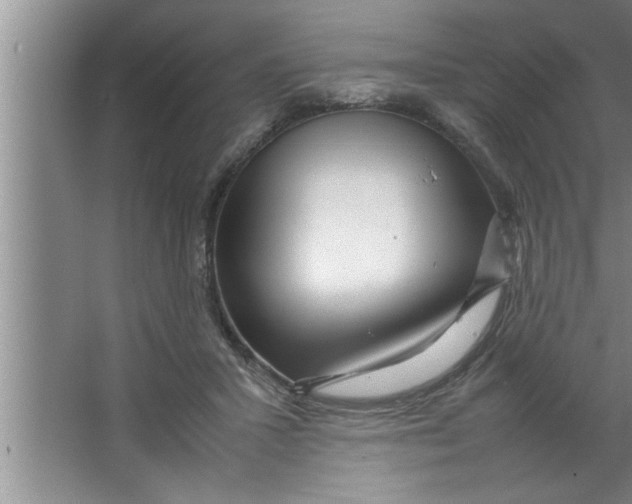 X0000067480407200604281925