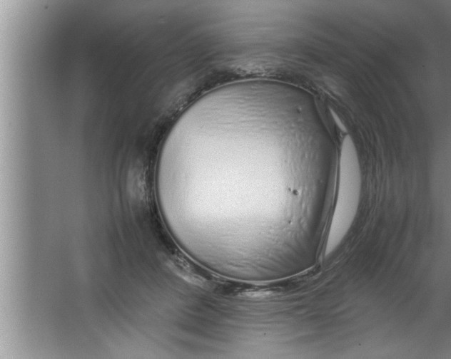 X0000067480408200604281925