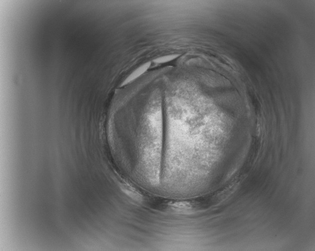 X0000067480409200604281925