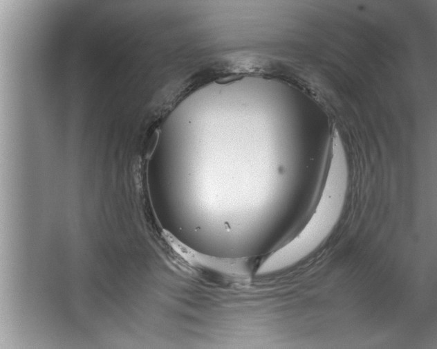 X0000067480413200604281925