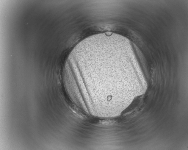 X0000067480414200604281925