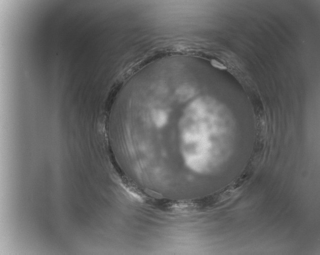 X0000067480415200604281925