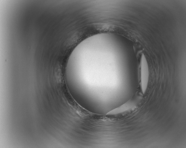 X0000067480416200604281925