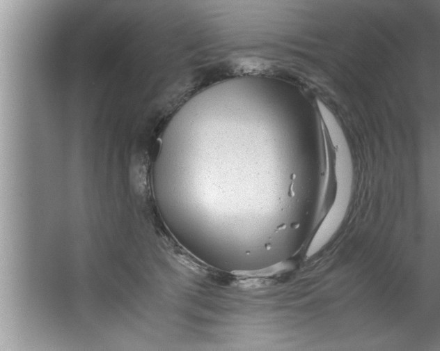 X0000067480417200604281925