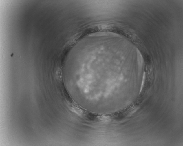 X0000067480419200604281925