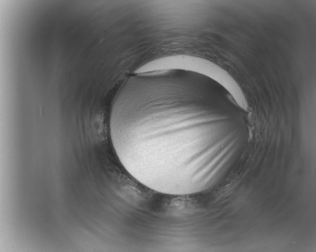 X0000067480420200604281925