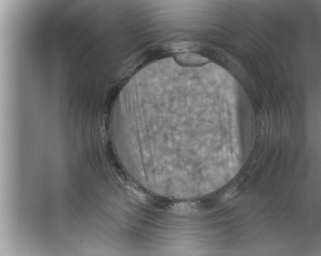 X0000067480422200604281925