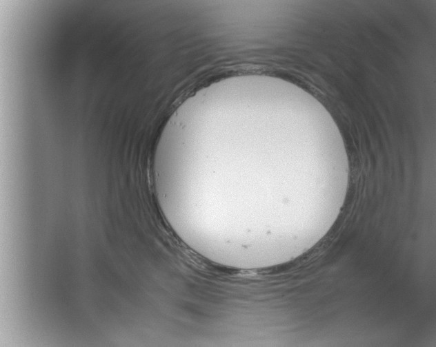 X0000067480425200604281925