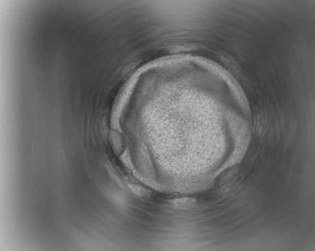 X0000067480426200604281925