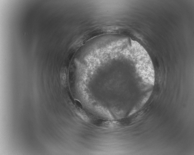 X0000067480427200604281925