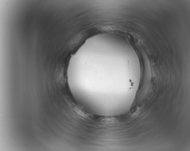 X0000067480428200604281925