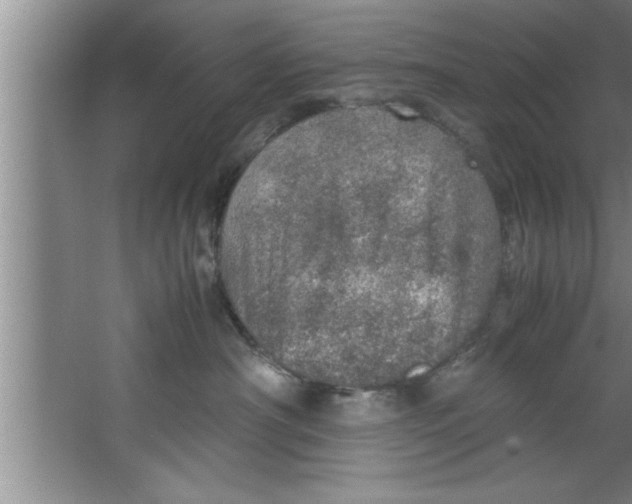 X0000067480430200604281925