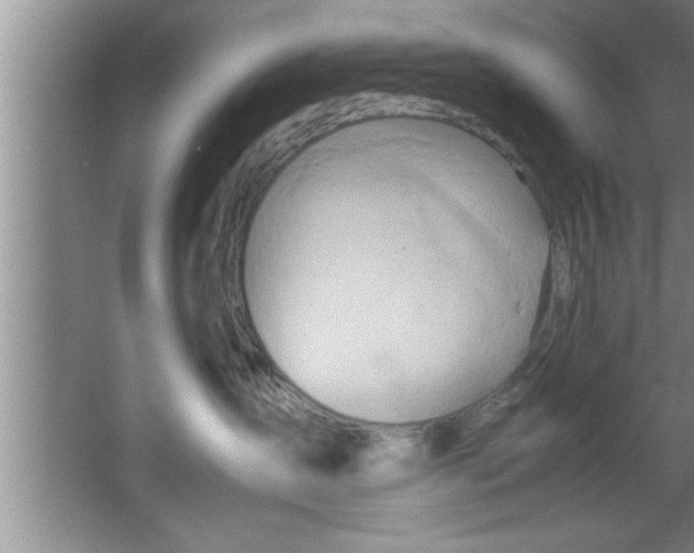 X0000067480431200604281925