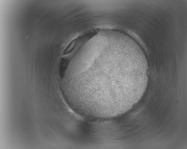 X0000067480433200604281924