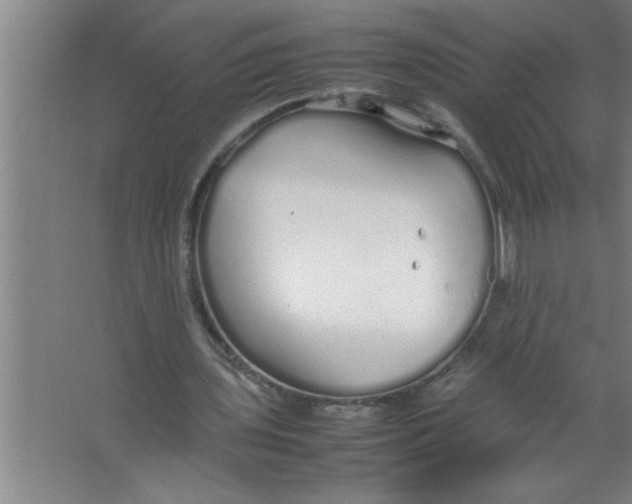 X0000067480435200604281924